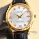 AAA replica Rolex Datejust gold face Citizen 8215 automatic mechanical watch (3)_th.jpg